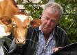 Jeremy Clarkson zaatakowany przez własną krowę! "Zgniotła mi jądra"