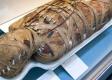 Vedecký tím chce pomocou röntgenu rozlúštiť tajomstvo palermských detských múmií