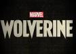 Marvel's Wolverine - premiera, cena, edycje, fabuła i wszystko, co wiemy o nadchodzącej grze z uniwersum Marvela