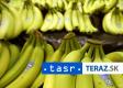 Malta v dodávke banánov smerujúcej do Slovinska našla 1,5 tony kokaínu