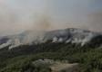 FOTO Väčšina požiarov v Turecku je už pod kontrolou: Úrady zisťujú, či nešlo o sabotáž